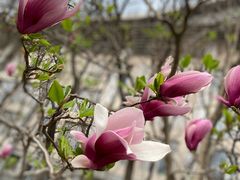 -北京大学-燕南食堂