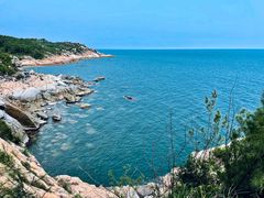 -广东惠东海龟国家级自然保护区