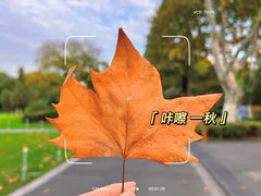 -红梅公园