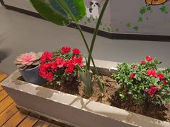 -珺小七铜锅涮肉(桃园路店)