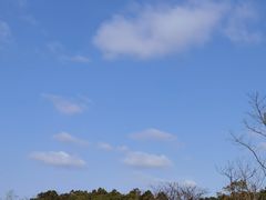 -春花秋色城市公园