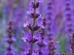 -汉长安城未央宫国家考古遗址公园