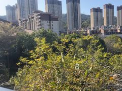 -碧桂园润杨溪谷温泉酒店