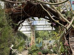 -石家庄市植物园