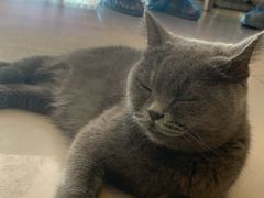 -平行世界·猫咖(首经贸店)