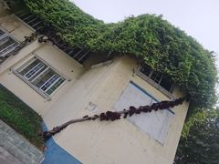 -金牛体育中心(金牛体育馆店)