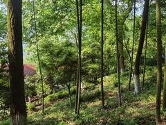 -莫干山风景区
