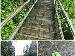 -茅兰沟国家森林公园