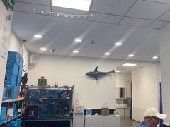 -八爪矩阵极限运动馆·儿童平衡车·感统训练(南海子公园校区)