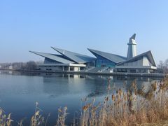 -盐城丹顶鹤湿地生态旅游区