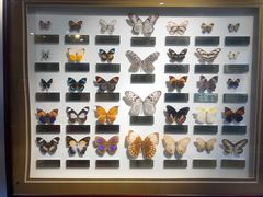 -上海昆虫博物馆