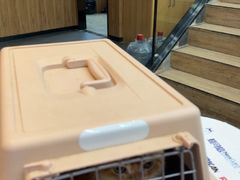-联合动物医院(光谷诊疗中心)