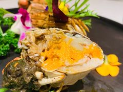 熟醉蟹-上海宝华喜来登酒店·采悦轩中餐厅