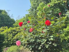 -浙江宾馆·花园餐厅·自助餐厅·茶吧