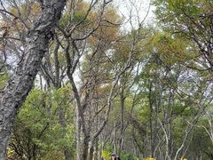 -白草畔自然风景区