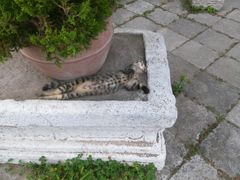 -西安化觉巷清真大寺