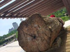 -烟台自然博物馆