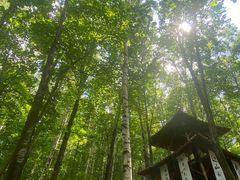 -帽儿山风景区