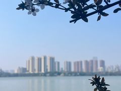 -艾溪湖湿地公园