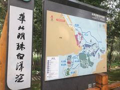 -白洋淀景区