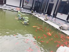 -陶辛水韵
