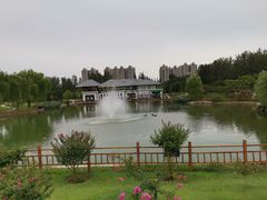 -燕郊植物园