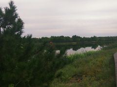 -东郊湿地公园