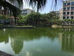 -厦门大学(思明校区)