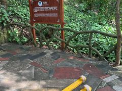 -伊岭岩风景区