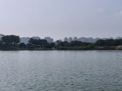 -洋湖国家湿地公园