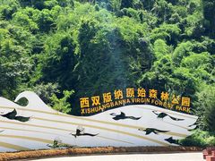 -西双版纳原始森林公园