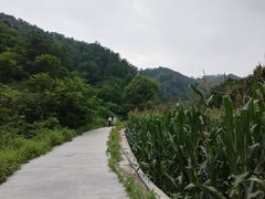 -九龙潭景区