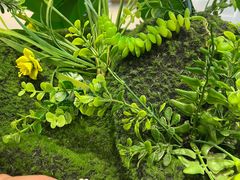 -霸王茶姬(西单百货店)