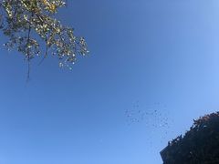 -五道营胡同