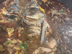 -大江美蛙鱼火锅(都江堰店)