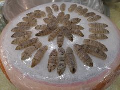 -荔城生鲜盛宴(番禺旗舰店)