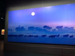 -罗红摄影艺术馆