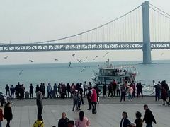 -星海湾跨海大桥
