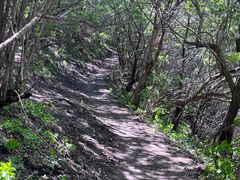 -灵山