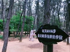 -林海公园