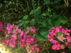 -武汉紫薇都市田园