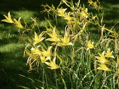 -青藏高原野生动物园