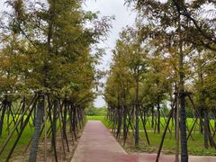 -春花秋色城市公园