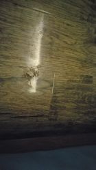 -毛毛虫儿童摄影馆