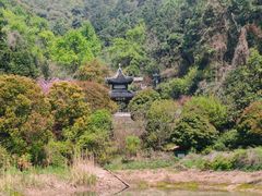 -九龙潭景区