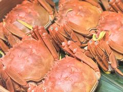 -成隆行·蟹王府(淮海店)
