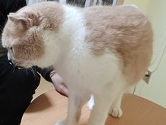 -Meowの猫咖(万家丽店)