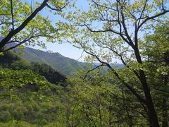 -五女峰国家森林公园