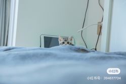 -哈妮儿童摄影(德清店)