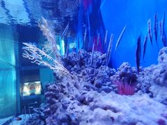 -成都浩海立方海洋公园